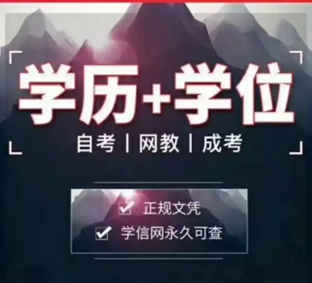 学历提升全指南:成人高考、自考、网络教育与专升本怎么选